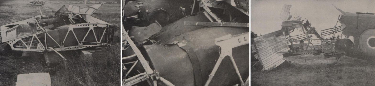 Lethality Vulnerability Irgon