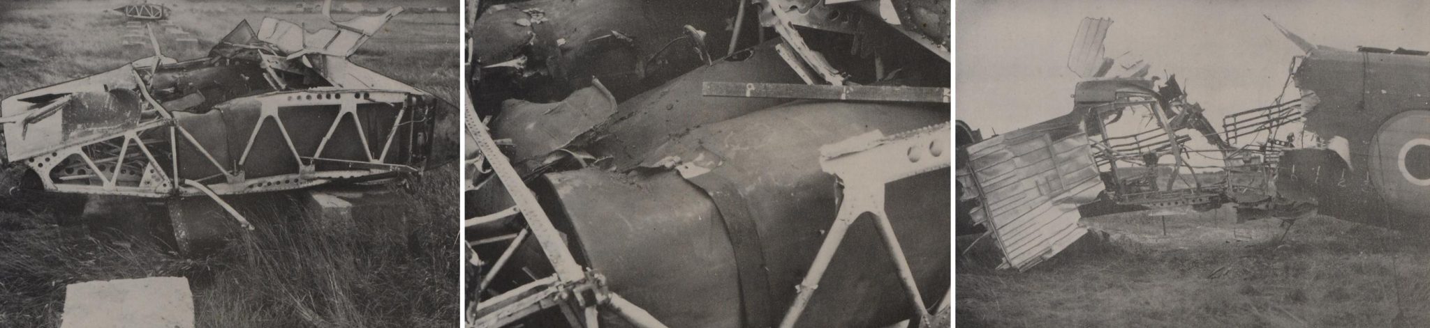 Lethality Vulnerability Irgon